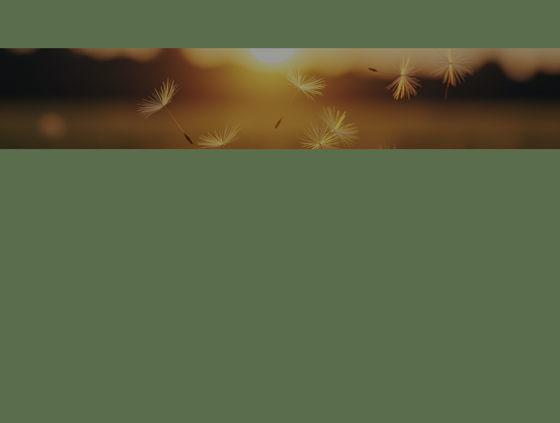 slider-rc9yju9uqgieby9yltkpqjuh156qevju297nxkpjtw